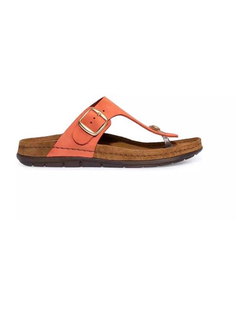 Rohde Schoenen ,Oranje ,Oranje Damessandaal in het Brown