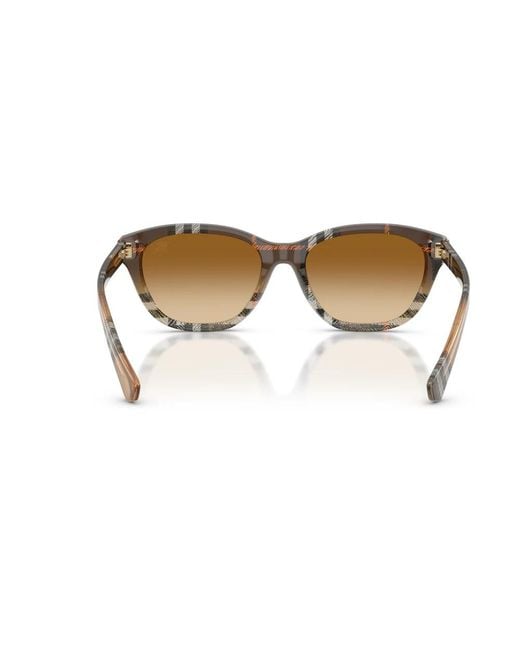 Burberry Brown Sunglasses