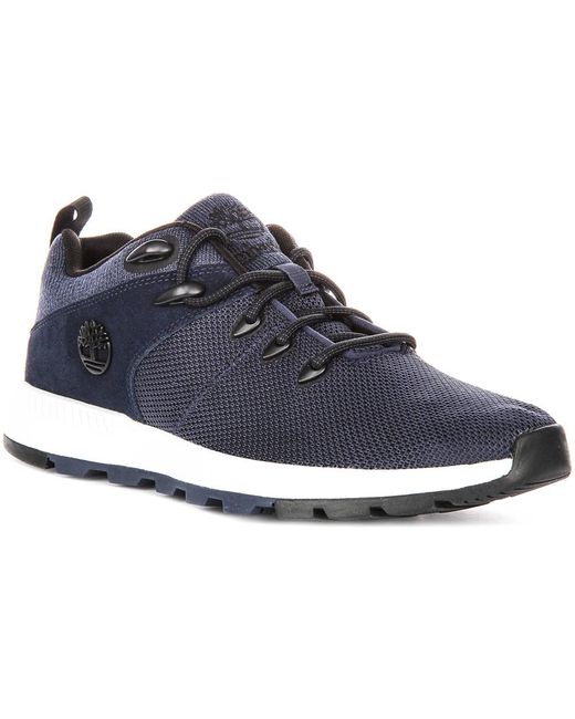 Timberland Blue Sneakers for men