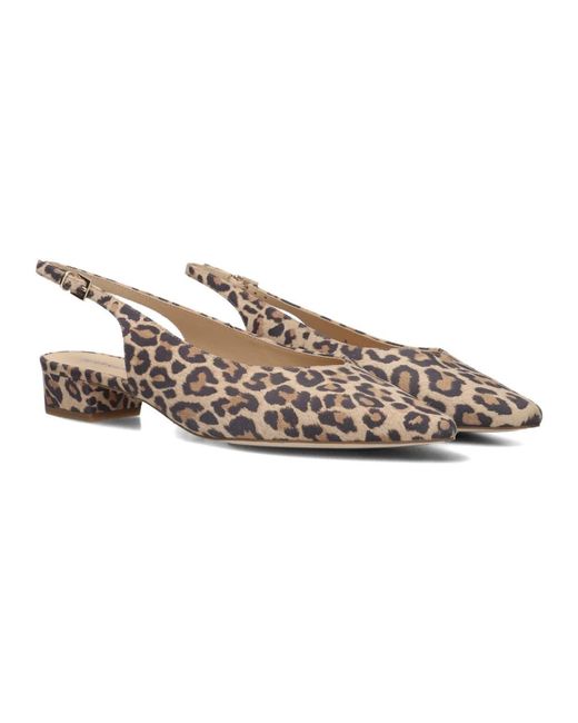 Peter Kaiser Heeled Mules in het Brown
