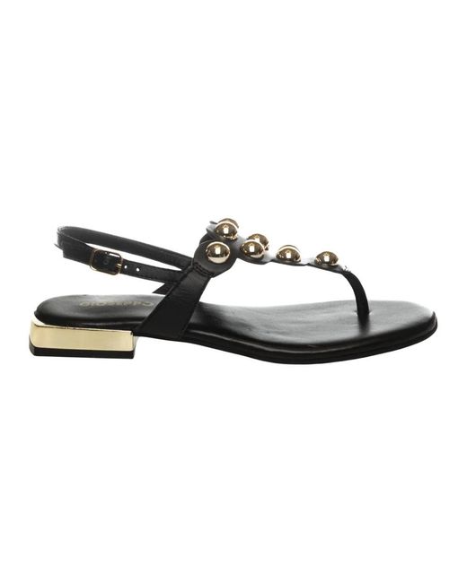 Flat Sandals Gioseppo en coloris Black