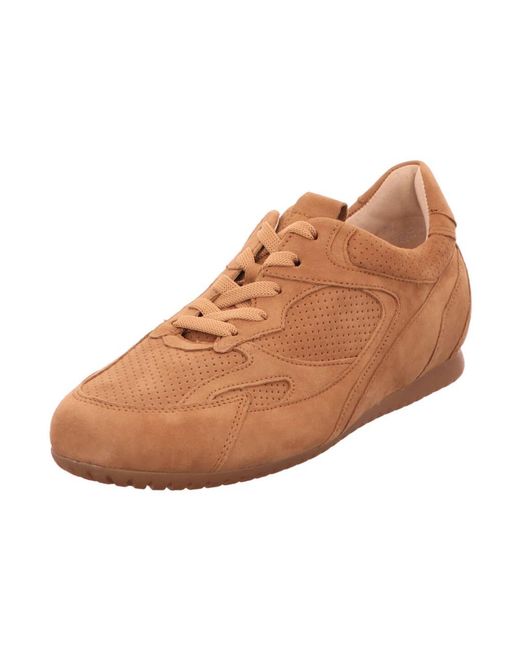 Gabor Brown Low Sneaker