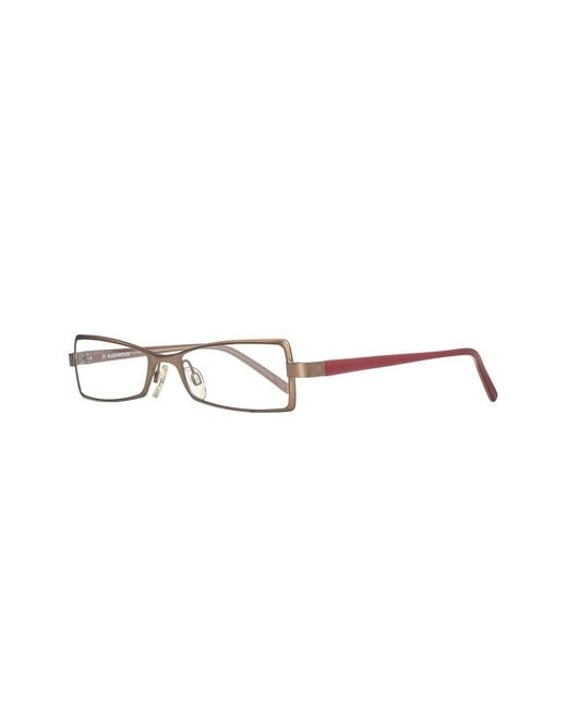 Rodenstock Brown Glasses