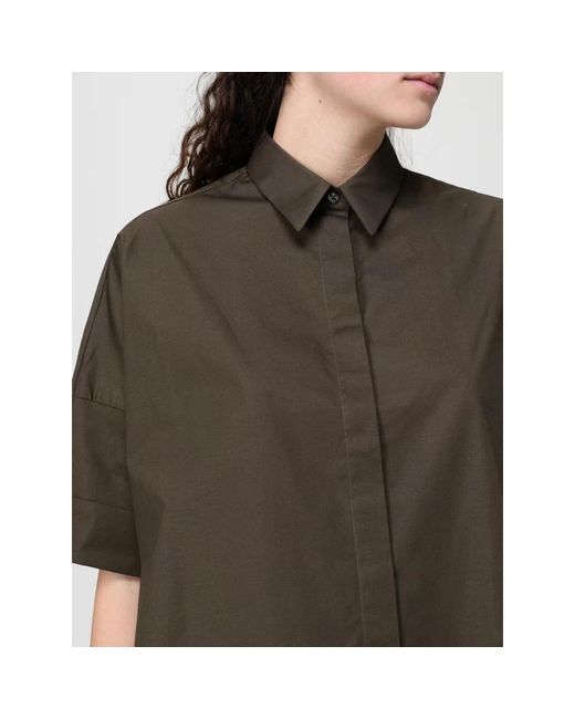 Fay Brown Shirts
