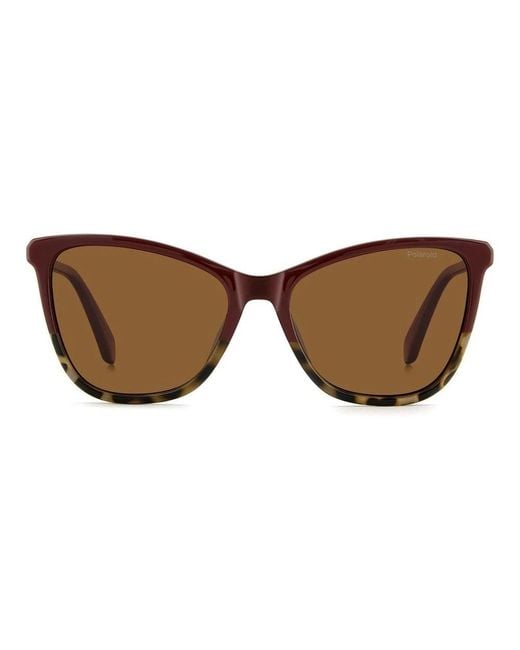 Polaroid Brown Sunglasses