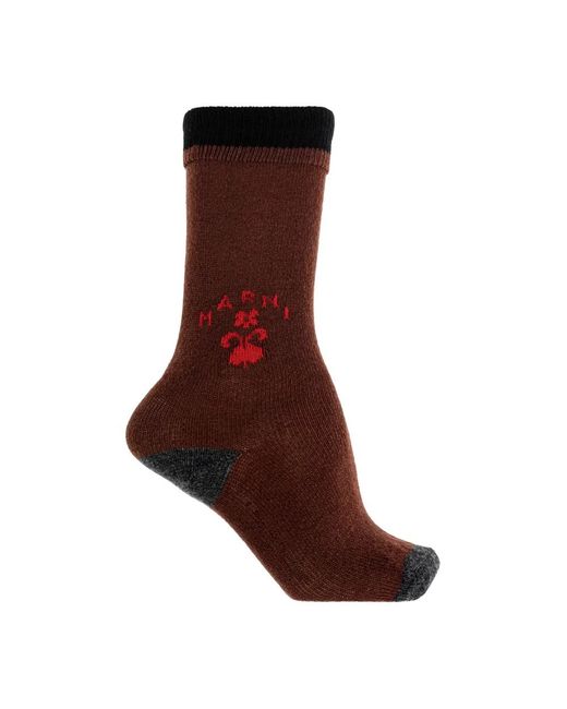 Marni Brown Socks
