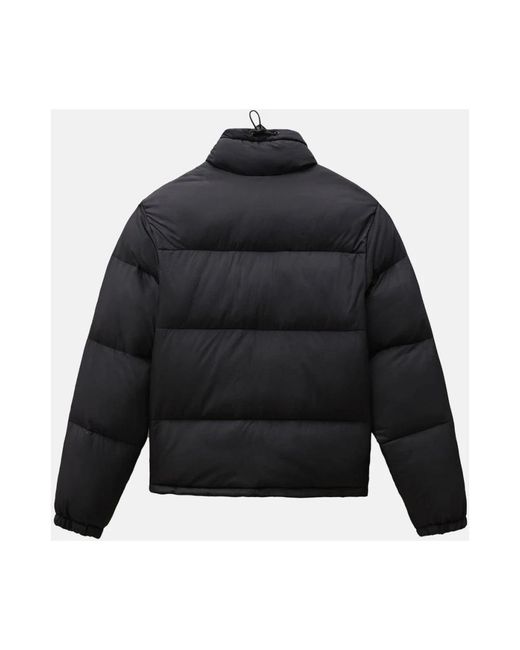 Dickies Jackets > Down Jackets in het Black