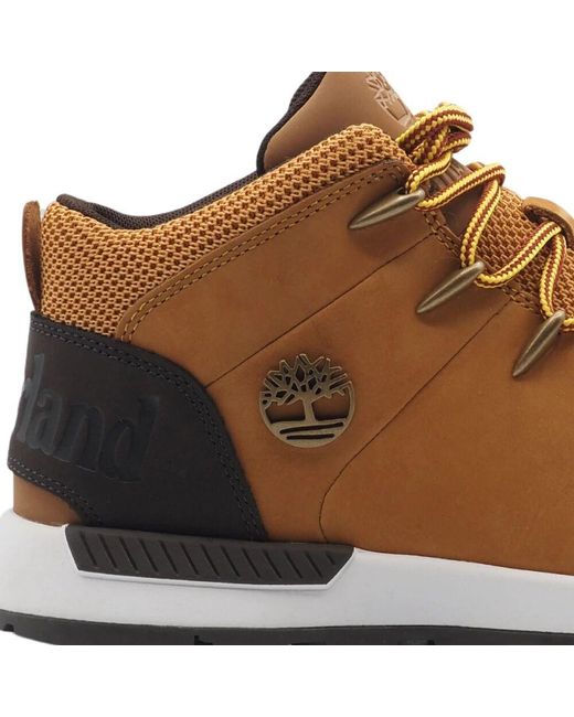 Timberland Sprint Trekker Mid Lederstiefel in Brown für Herren