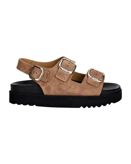 Flat Sandals di Scholl in Brown