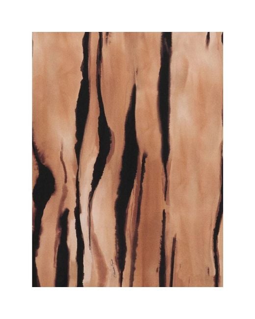 Elisabetta Franchi Brown Silk Scarves