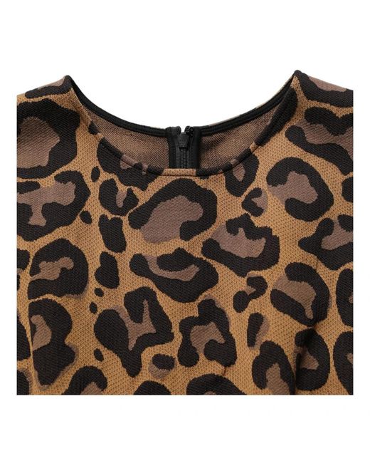 Dolce & Gabbana Brown Knitted Dresses