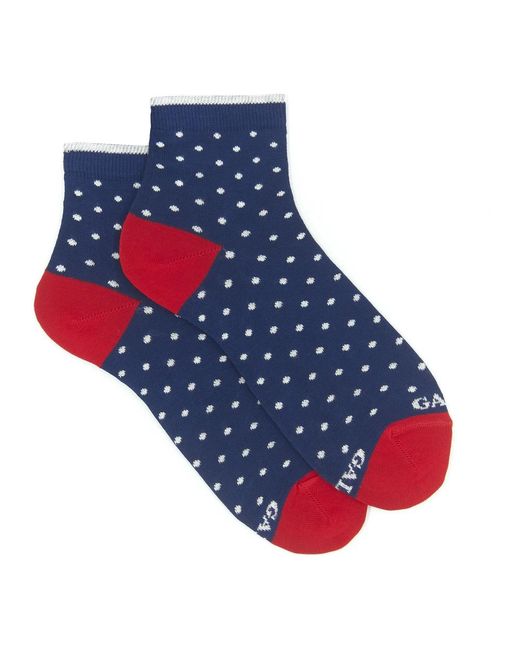 Socks di Gallo in Blue