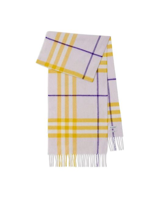 Burberry Purple Winter Scarves