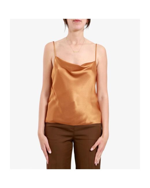 Alberta Ferretti Brown Sleeveless Tops
