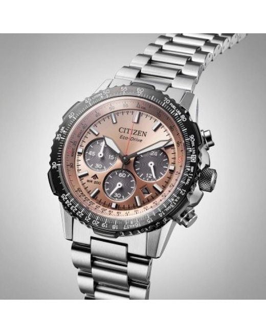 Citizen Metallic Watches