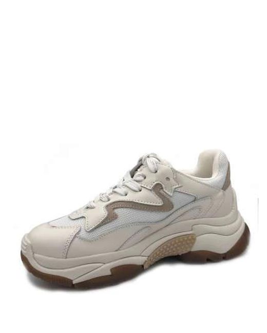 Ash White Sneakers