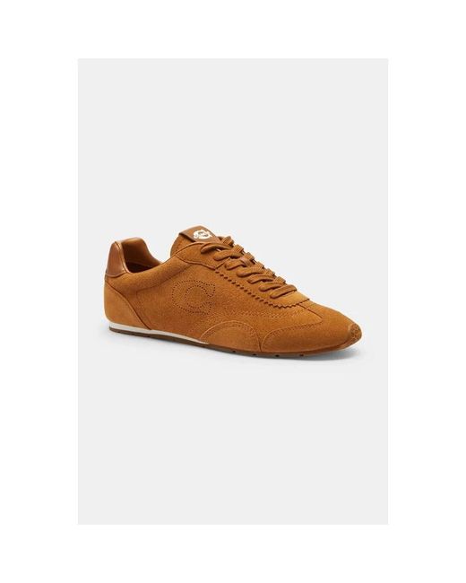 COACH Brown Sneaker