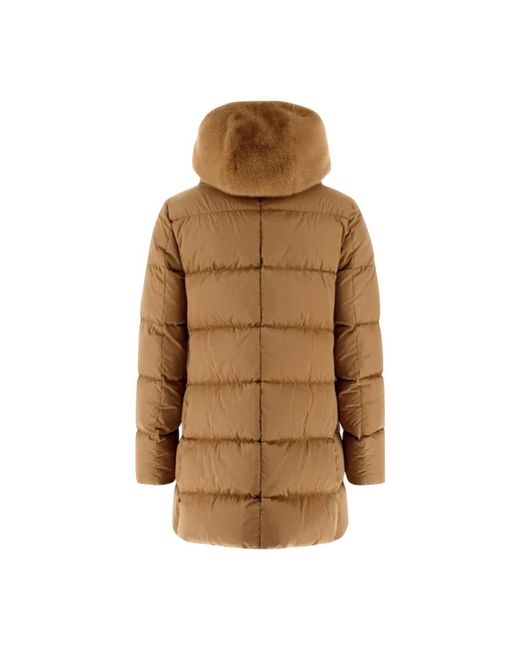 Herno Winter Jackets in het Brown