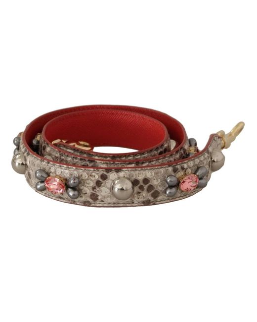 Bag Accessories di Dolce & Gabbana in Red