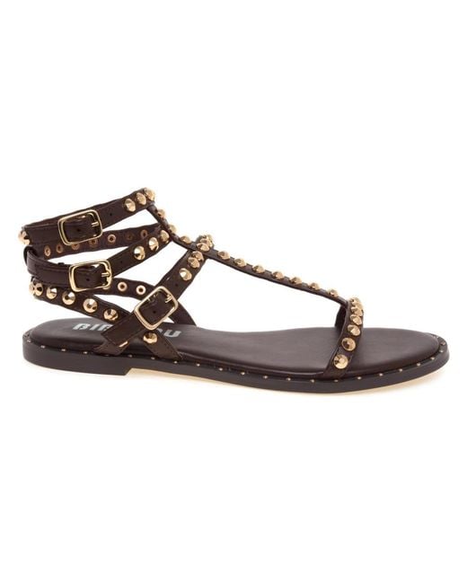 Bibi Lou Brown Flat Sandals