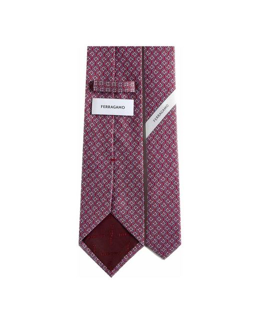 Ferragamo Purple Ties for men