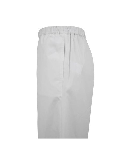 Aspesi Wide Trousers in het Gray