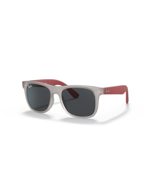 Ray-Ban Gray Sunglasses