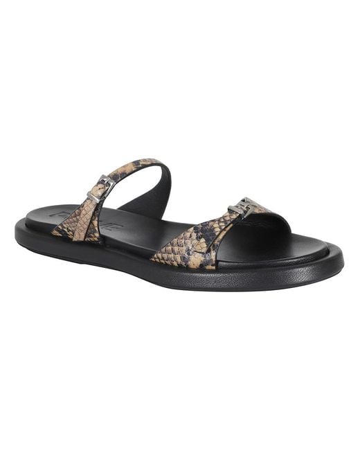 Poeve Black Sliders