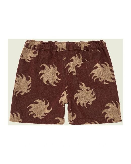 Oas Brown Short Shorts for men