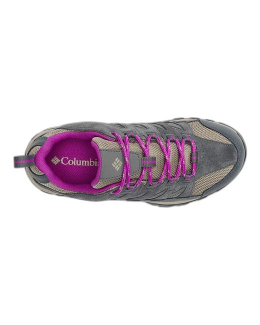 Shoes > sneakers Columbia en coloris Gray