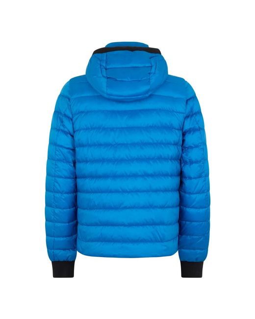 Moorer Jassen ,Blauw ,Coats in het Blue voor heren