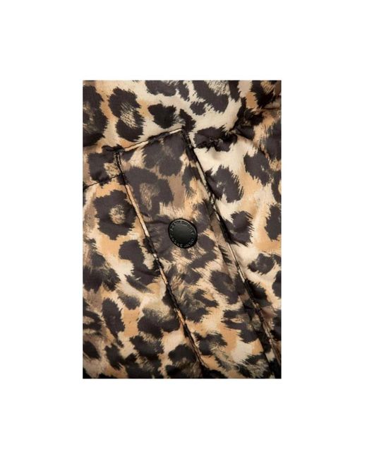 DKNY Jassen Winterjassen in het Brown