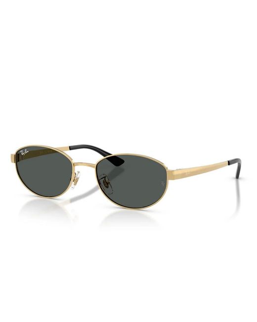 Ray-Ban Gray Sunglasses