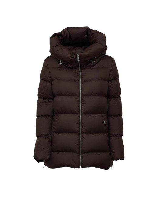 Winter Jackets Add en coloris Brown