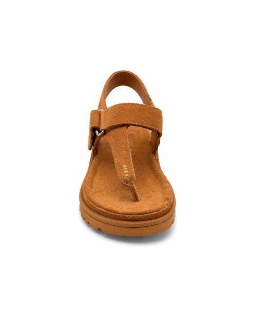 Ugg Brown W Goldengaze Toe Post