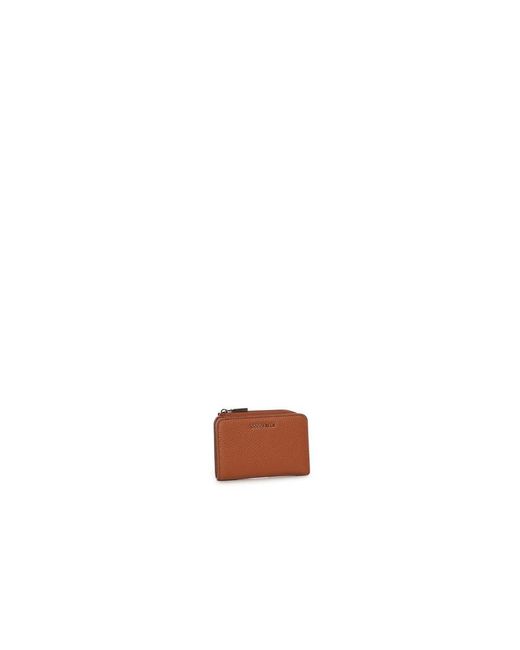Wallets & Cardholders di Coccinelle in Brown