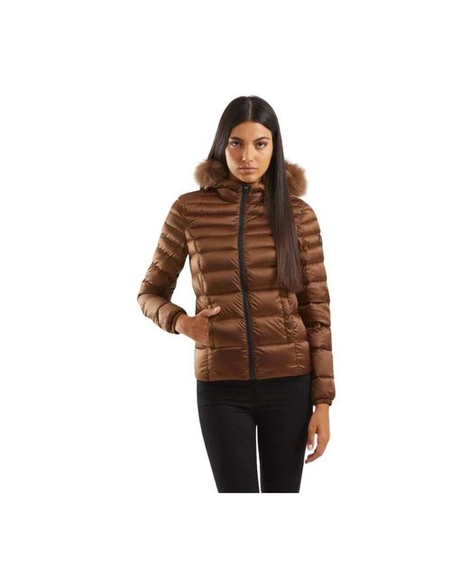Winter Jackets Refrigiwear de color Brown