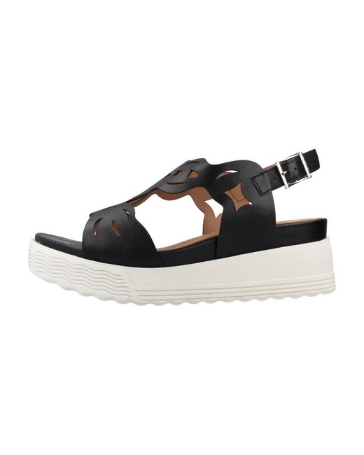 Stonefly Black Parky 27