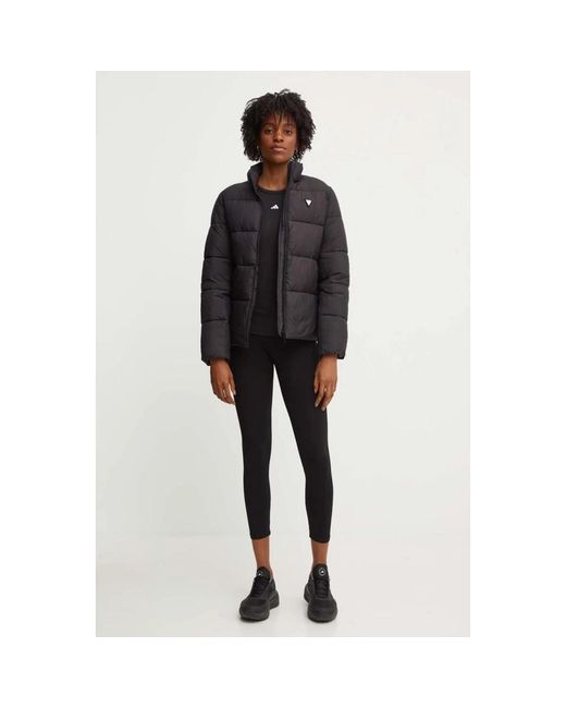 Guess Winterjassen in het Black