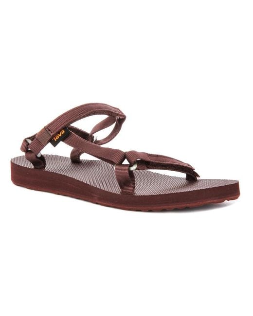 Teva Brown Flat Sandals