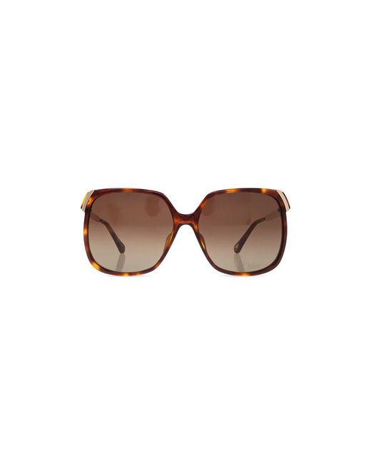Chloé Brown Sunglasses