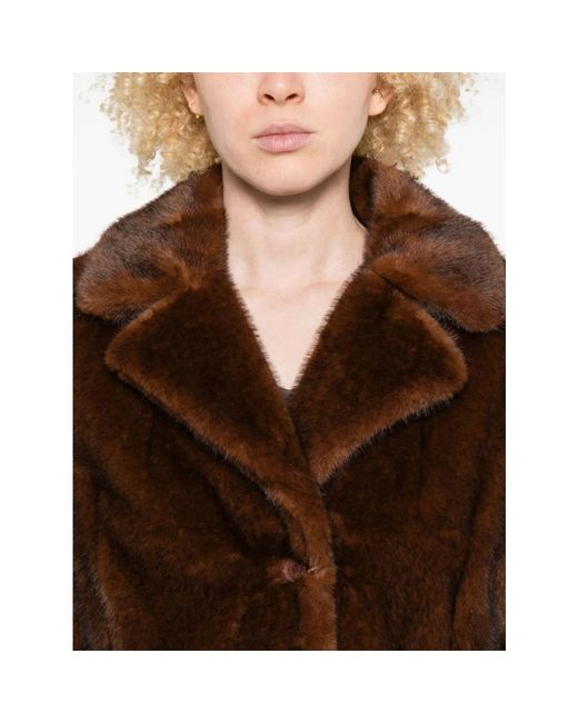 Single-Breasted Coats Herno en coloris Brown