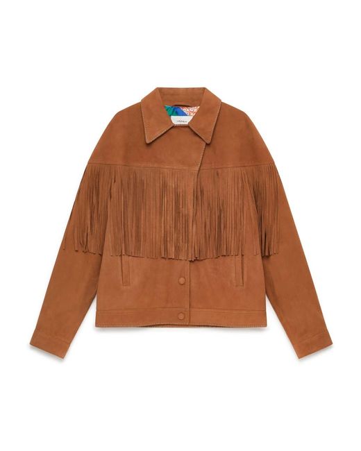 Leather Jackets Maliparmi de color Brown