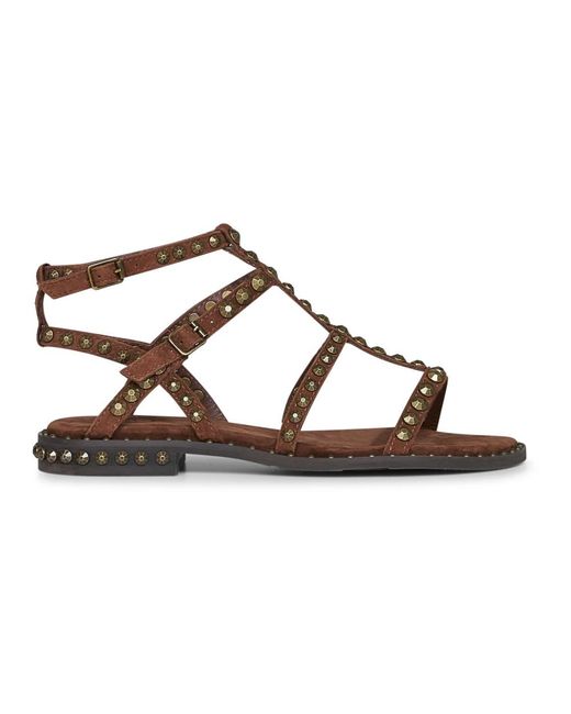 Flat Sandals Ash en coloris Brown