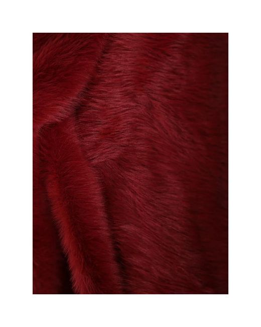 Winter Scarves Herno de color Red
