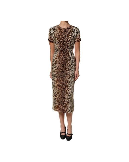 Dolce & Gabbana Brown Midi Dresses