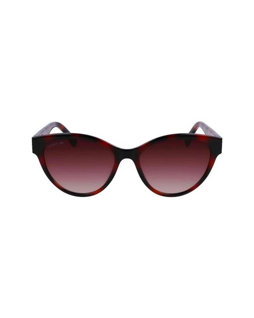 Lacoste Brown Sunglasses