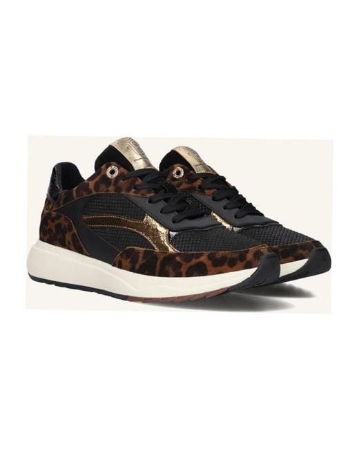 Floris Van Bommel Black Suvi Sneakers