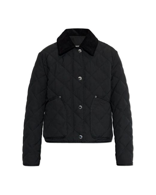Light Jackets Burberry en coloris Black