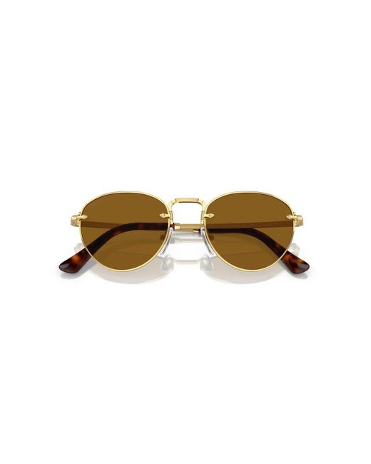 Persol Brown Sunglasses